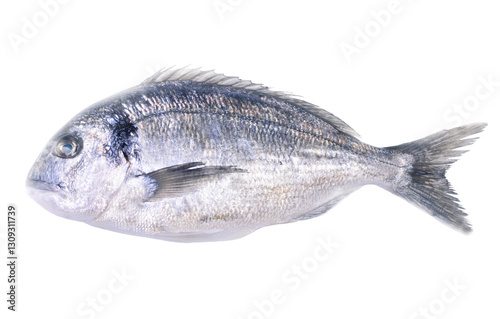 Obraz na płótnie Fresh fish dorado on white background w salonie