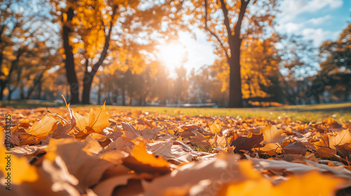 Wallpaper Mural Dry leaves falling in the park in autumn season - ai generative Torontodigital.ca