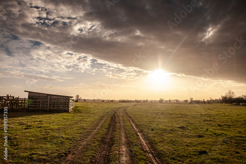 A pastoral scene in Zasavica, Vojvodina, Serbia, features stables and open fields under a soft dusk sky. The tranquil setting highlights local agriculture and the region’s rural charm.