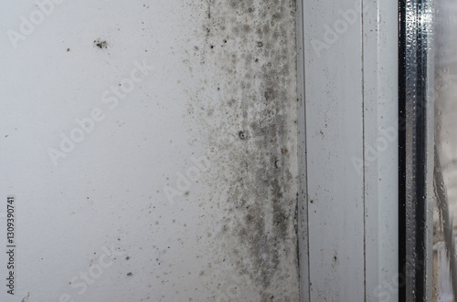Moldy wall with black spots near window frame in humid room