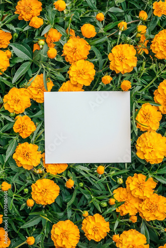 Vertical Marigolds springtime scenery, nature background. Festive holiday greeting card for Birthday, Woman or Mothers Day.