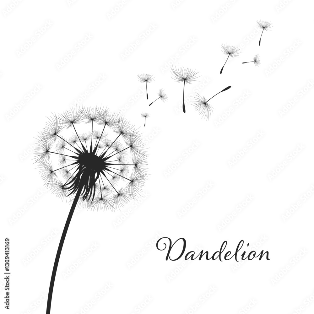 Vector illustration dandelion time. Black Dandelion seeds blowing in the wind. The wind inflates a dandelion isolated on a white background.