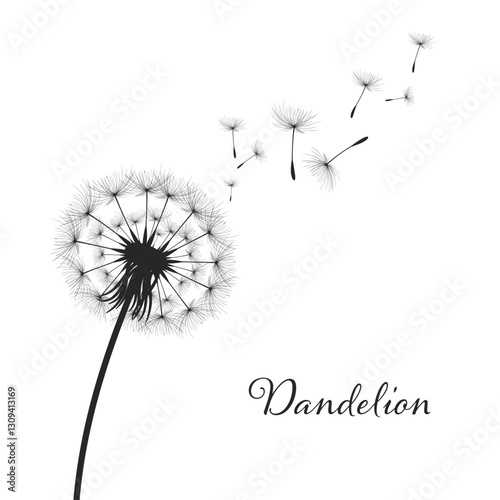 Obraz na płótnie Vector illustration dandelion time. Black Dandelion seeds blowing in the wind. The wind inflates a dandelion isolated on a white background. w salonie