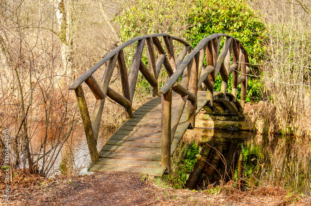 Nieuwkoop, The Netherlands, February 26, 2025: small wooden archbridgeacross a ditch as part of a hiking trail in a nature reserve Nieuwkoop, The Netherlands, February 26, 2025: small wooden archbridgeacross a ditch as part of a hiking trail in a nature reserve