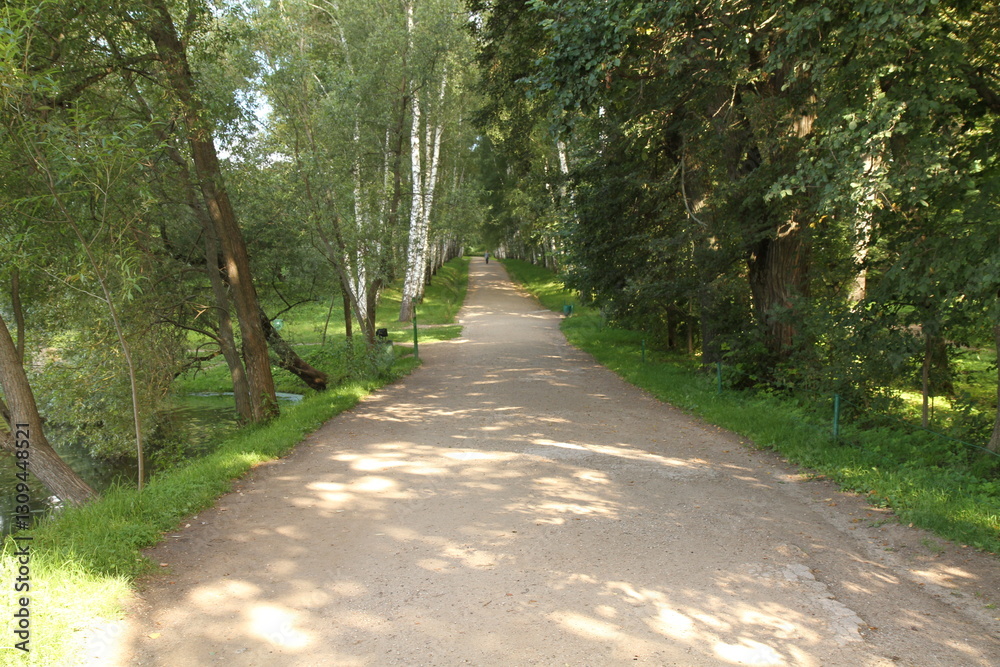 Path into summer. A cozy forest road surrounded by distant trees, going into the distance, creating a feeling of calm and peace. Path into summer. A cozy forest road surrounded by distant trees, going into the distance, creating a feeling of calm and peace.