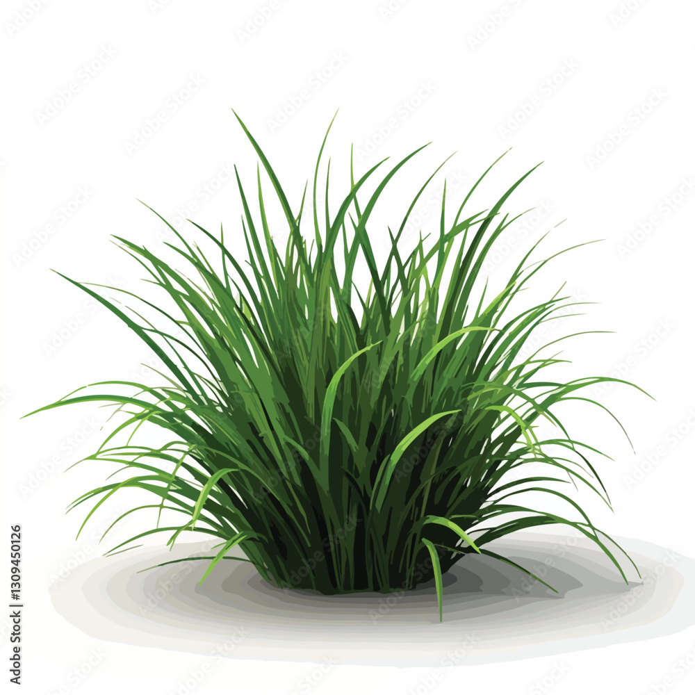 Grass Plant 3D Render Isolated Cutout Icon Grass Plant 3D Render Isolated Cutout Icon