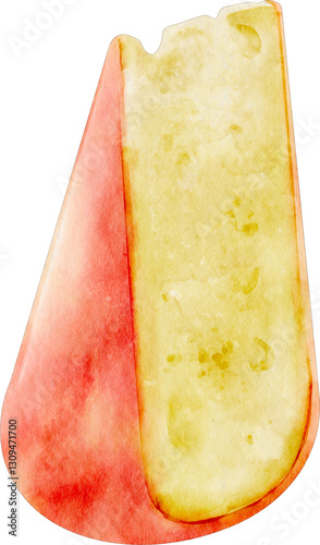 watercolor edam cheese