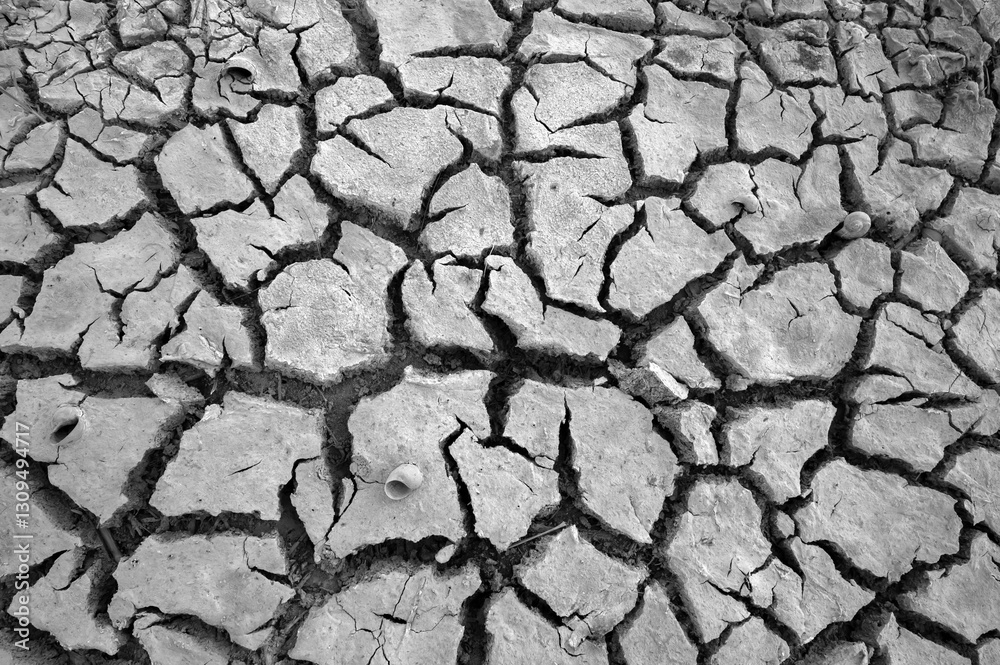 Abstract of Cracke ground earth on top view, beautiful background of drought and death, full flame pattern crack surface texture, photo for graphic creative design on hot and arid climate weather Abstract of Cracke ground earth on top view, beautiful background of drought and death, full flame pattern crack surface texture, photo for graphic creative design on hot and arid climate weather