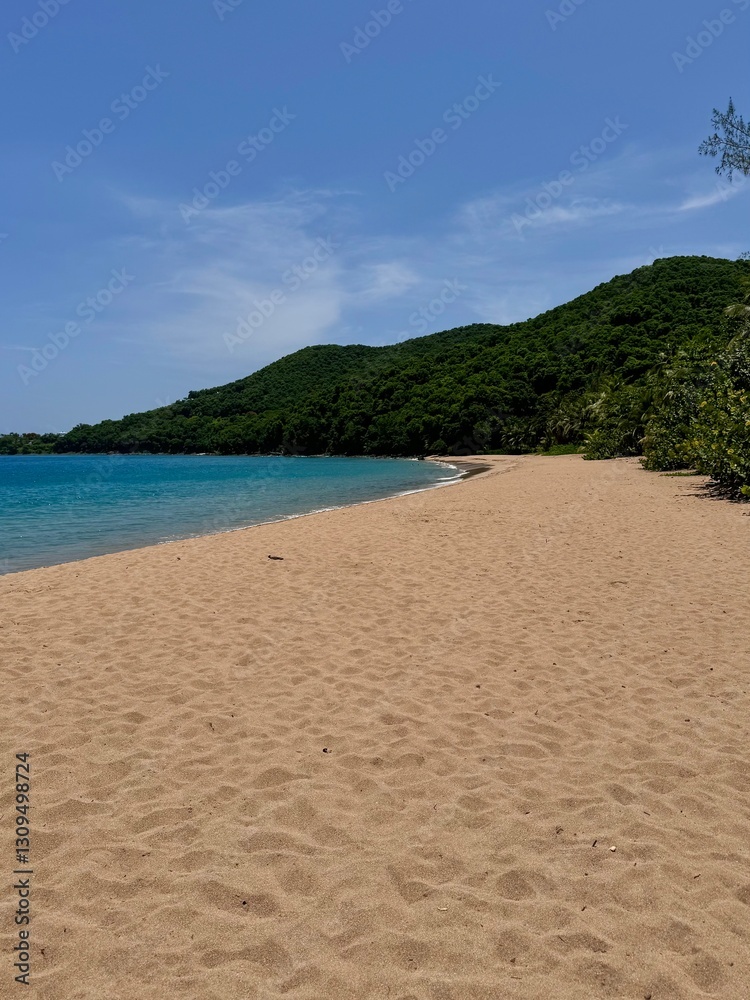 Fototapeta premium seascape of Guadeloupe in the French West Indies with a view of a sandy beach in a tropical environment 