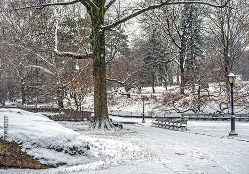 Wallpaper Mural Central Park in winter , snow storm Torontodigital.ca