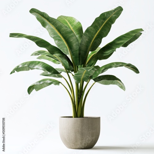 Wallpaper Mural Lush Green Banana Plant in Modern Concrete Pot Enhancing Indoor Space with Tropical Vibes and Natural Beauty for Home Decor and Interior Design Torontodigital.ca