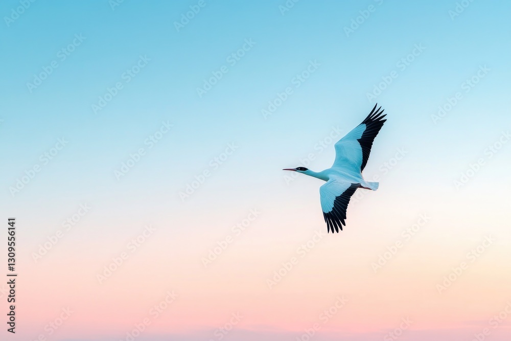 Obraz premium large majestic bird soaring through clear blue sky at sunset its wings fully extended against warm hues leaving vast