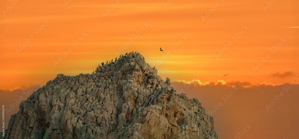 Large colonies of brown pelicans gather at sunset over the stunning rock formations of Cabo San Lucas, Baja California, Mexico