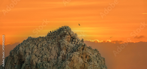 Obraz na płótnie Large colonies of brown pelicans gather at sunset over the stunning rock formations of Cabo San Lucas, Baja California, Mexico w salonie
