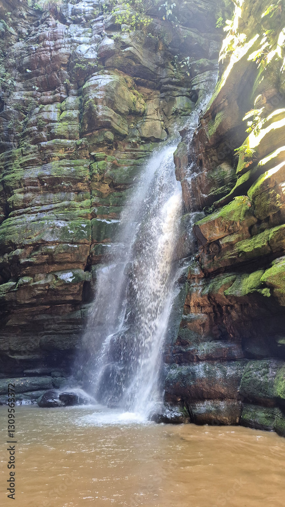 Obraz premium waterfall in the forest