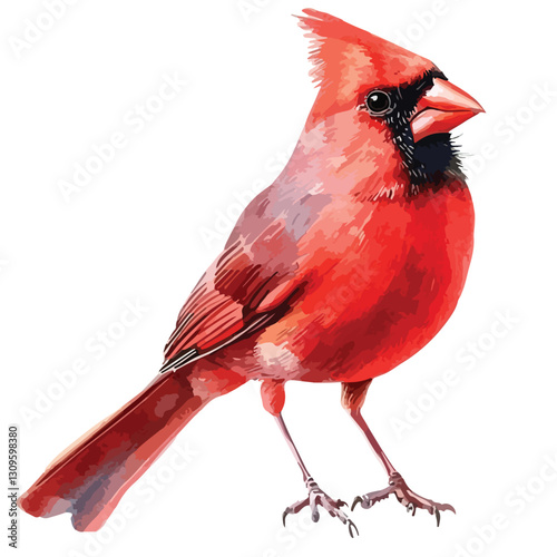 Vibrant Red Cardinal Bird Watercolor Isolated Cutout