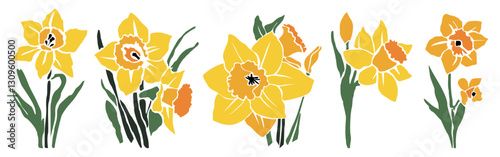 Set of yellow daffodil flowers. March birth month flowers. Colorful flat vector hand drawn illustrations isolated on transparent background