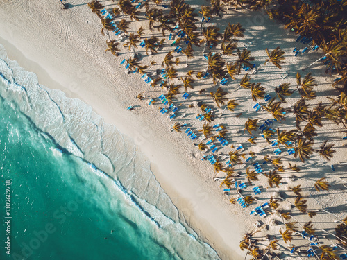 Fototapeta Naklejka Na Ścianę i Meble -  Aerial view of tropical island beach and caribbean sea shore with palms, Dominican Republic 