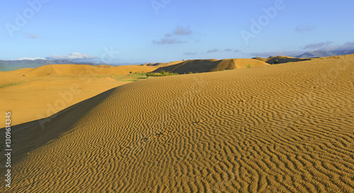 Photos Elsen Tasarkhai, Rashaant, Bulgan Province - Elsen Tasarkhai sand dunes, also kn