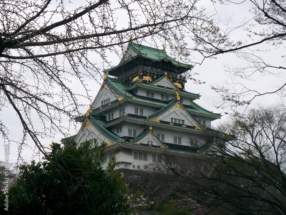 Fototapeta premium SAMSUNG CAMERA PICTURES