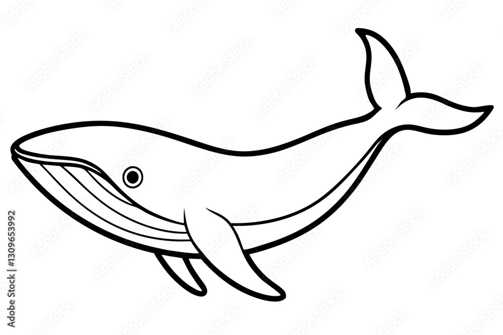 Fototapeta premium Elegant Whale Line Art