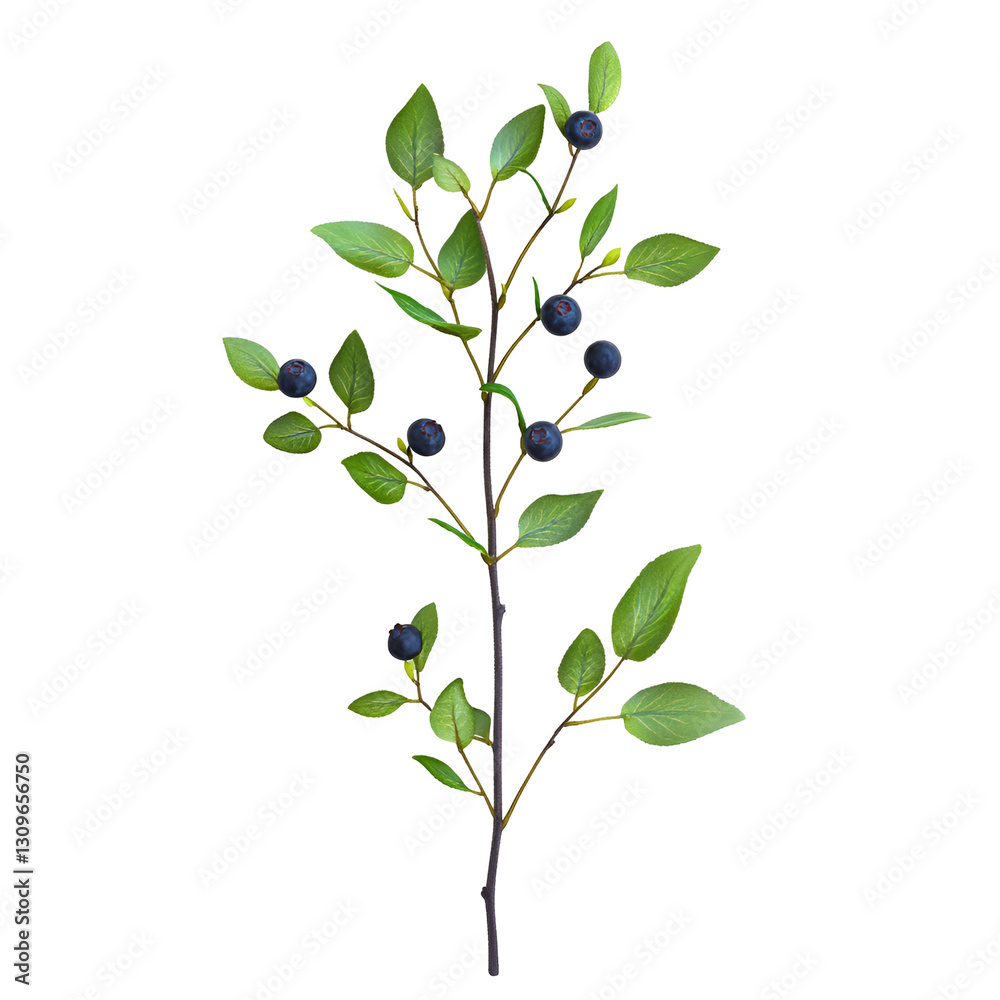 branch with green leaves branch with green leaves