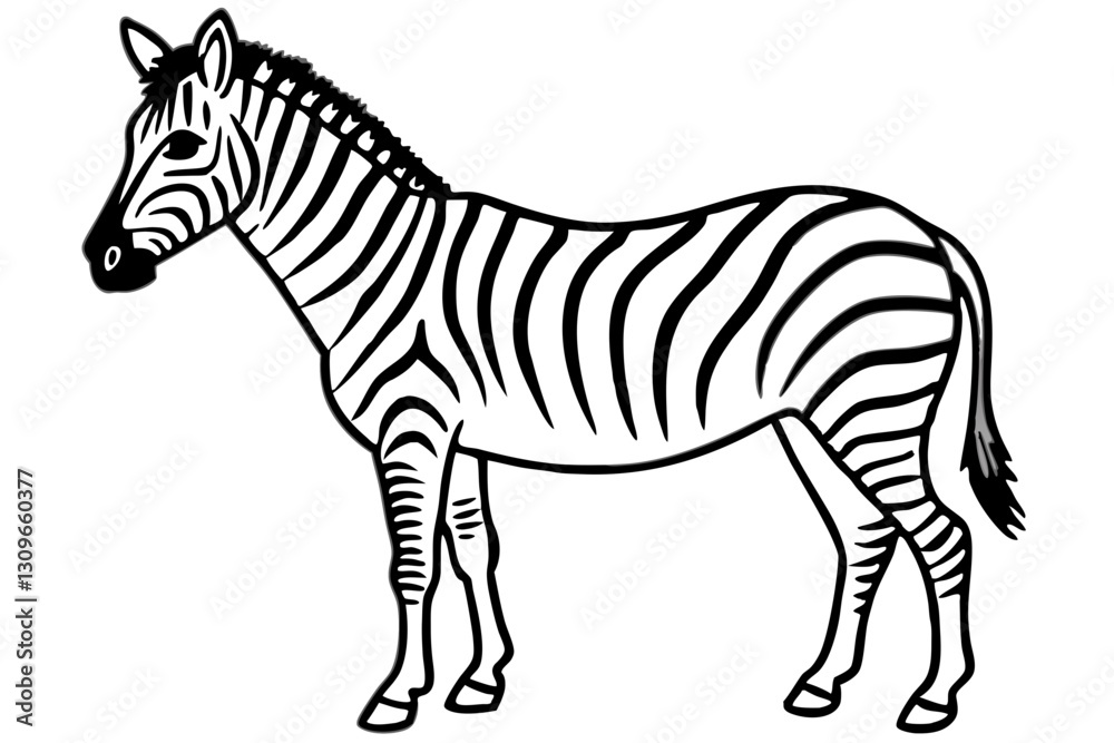 Obraz premium Elegant Zebra Line Art