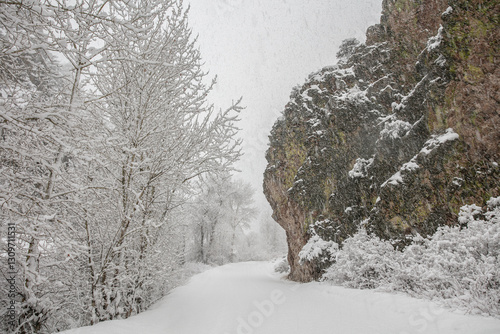 Billede på lærred Snow covered rural road