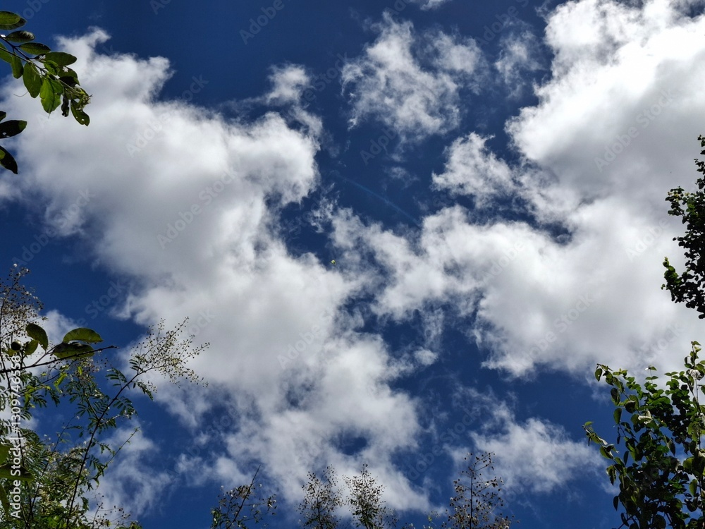 Obraz premium clouds in the sky