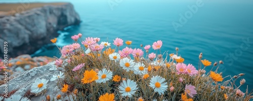 Colorful Wildflowers on Rocky Coastline by Ocean