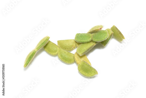 Creeping beggarweed plant Desmodium incanum unripe seed on white background photo