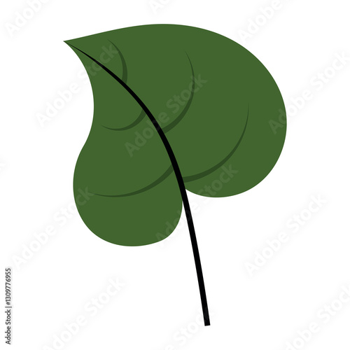heart shaped leaf