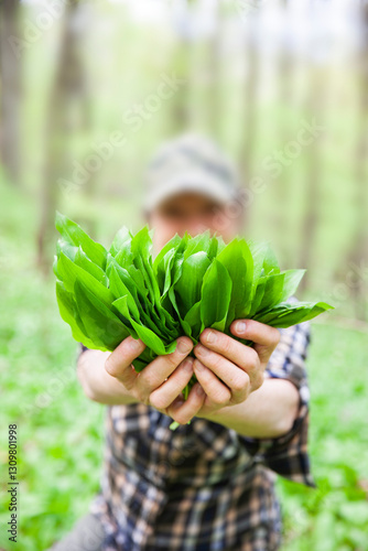 Frau beim Bärlauch sammeln im Wald