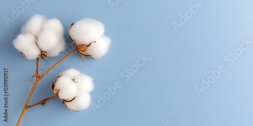 cotton flowers on a blue ba...