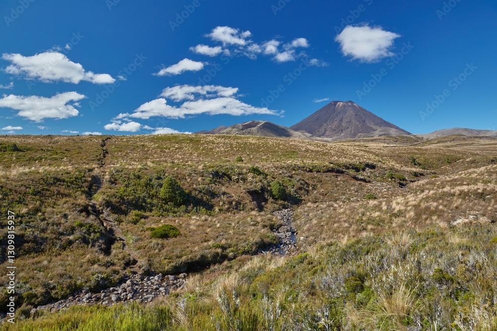 Fototapeta premium Volcanic Landscape, Tongariro