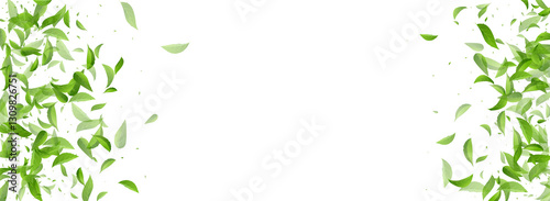 Green Foliage Flying Vector Panoramic White