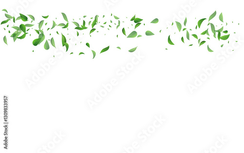 Forest Leaves Forest Vector White Background