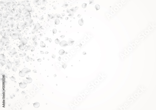 Delicate Petal Vector Light Background. Snowy