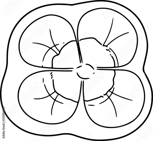 capsicum cartoon doodle