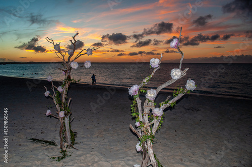 Flowering Trees Overlooking Grace Bay