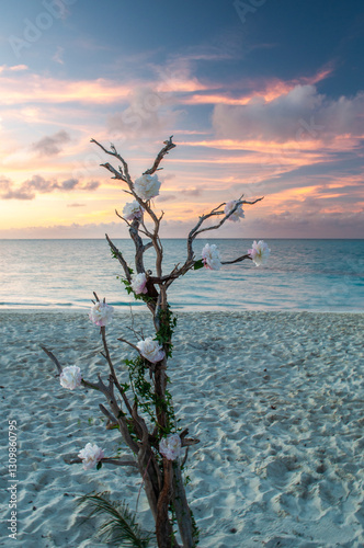 Portrait of Flowering Tree Overlooking Grace Bay