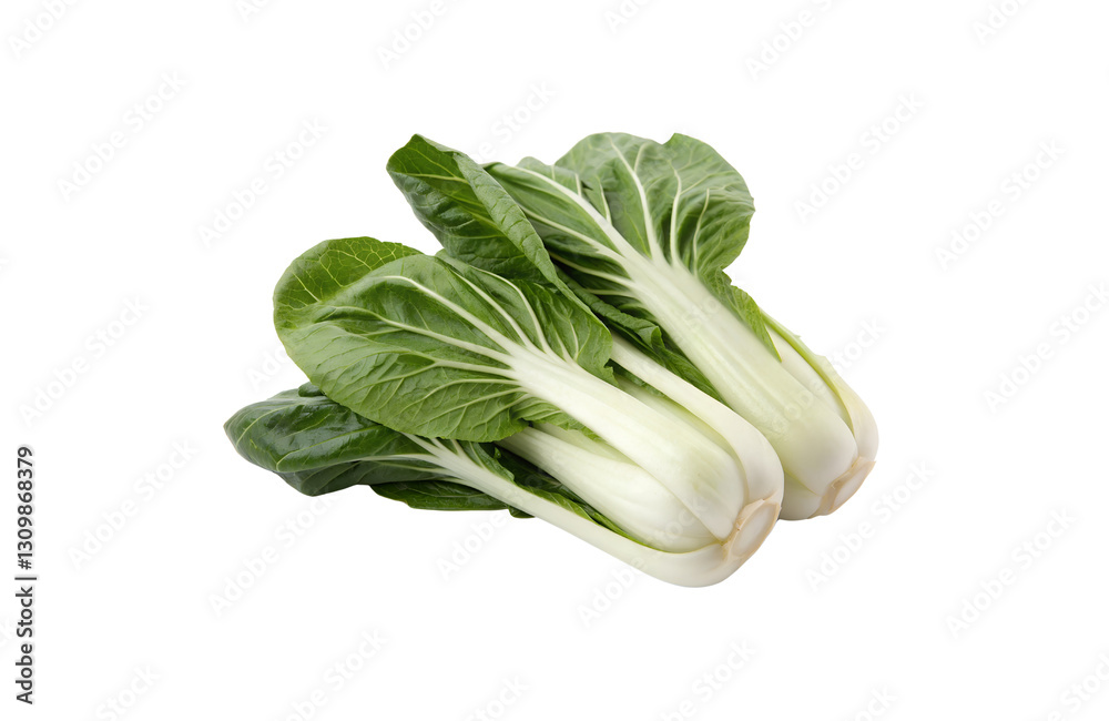 Bok Choy Vegetable PNG Download – Crisp & Clear Transparent Images Bok Choy Vegetable PNG Download – Crisp & Clear Transparent Images