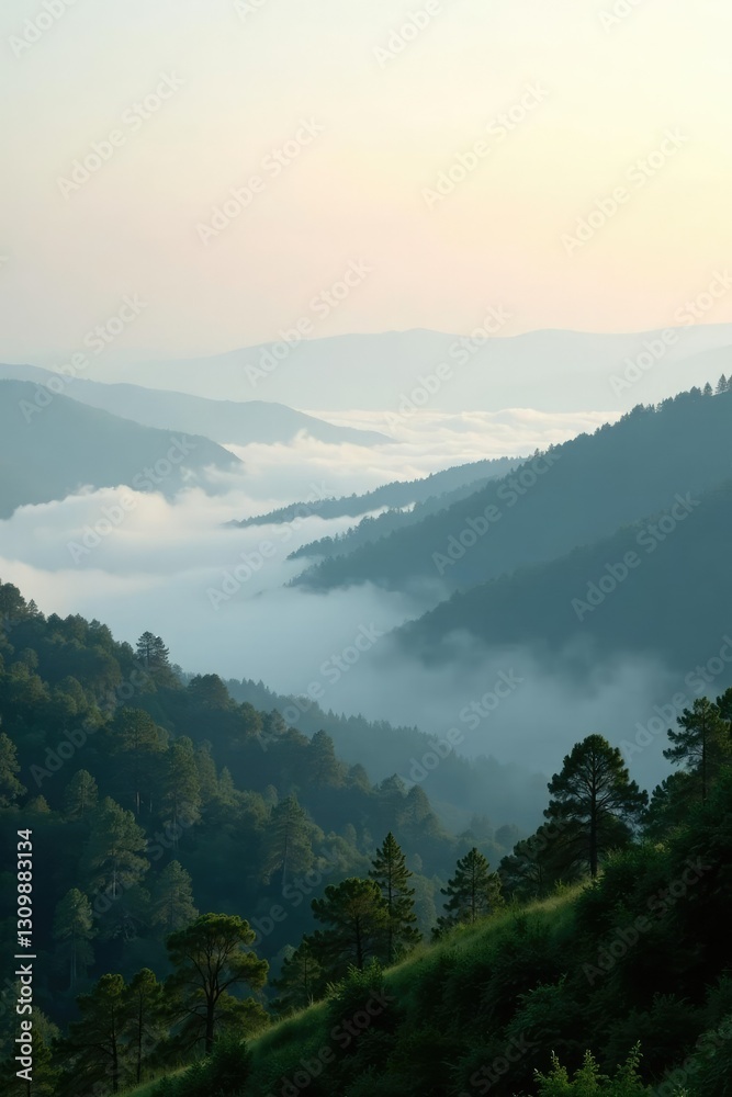 Fototapeta premium Foggy landscape with mist rising from the ground, landscape, fog