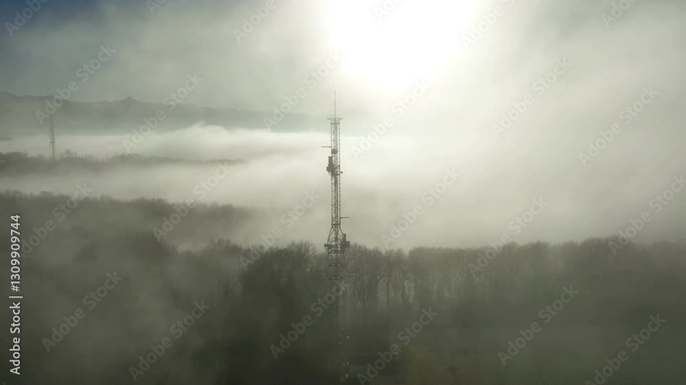 Paysage sous le brouillard