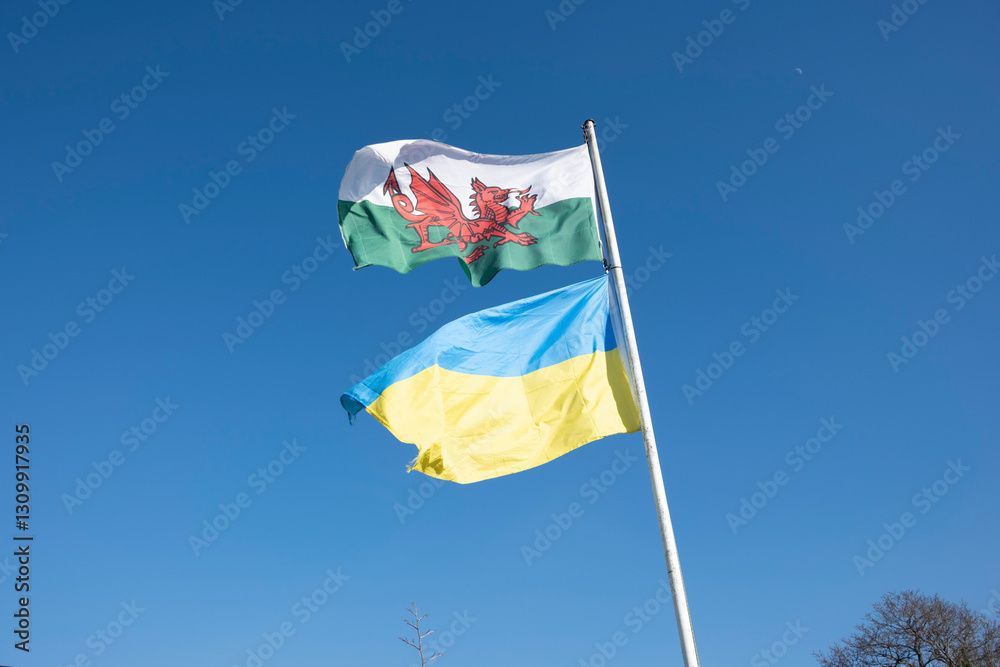 Welsh and Ukrainian flags on a flagpole fluttering in the wind against a bright blue sky. Welsh and Ukrainian flags on a flagpole fluttering in the wind against a bright blue sky.