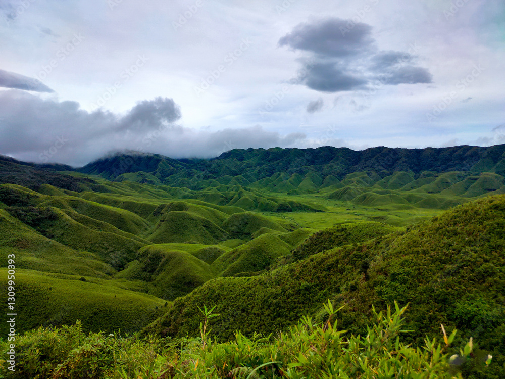 Fototapeta premium Hill in her beauty 