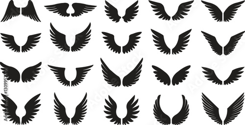 Wings with long feather icon in flat set. isolated on transparent background.