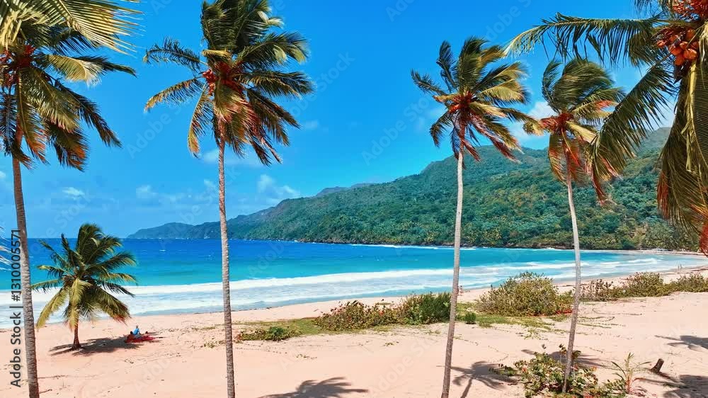 Palm trees and tropical sea on a sunny summer day. Hawaiian island coastline. Blue sea and beach landscape. Big white waves lie on the white sand of a wild beach. Seascape for summer vacations. Palm trees and tropical sea on a sunny summer day. Hawaiian island coastline. Blue sea and beach landscape. Big white waves lie on the white sand of a wild beach. Seascape for summer vacations.
