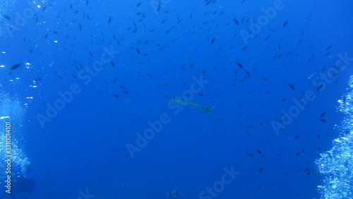 Wallpaper Mural blue water background Torontodigital.ca