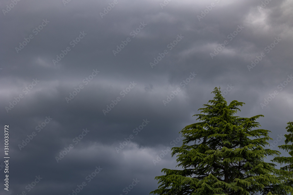 cielo che diventa scuro e nuvoloso mentre le nuvole si accumulano all'arrivo di un temporale estivo